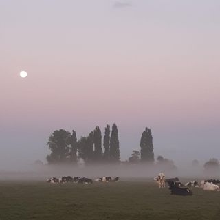 20220911 071011 2022 12 09 100008 pkdr