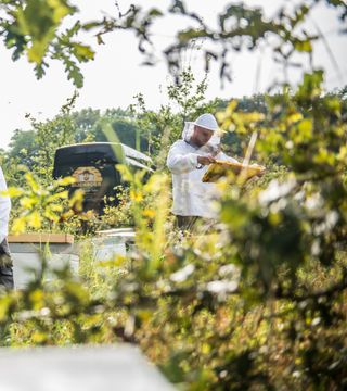 Straffestreek Bijenboer 10 4000px